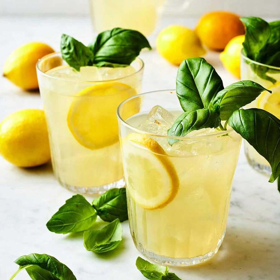 20Pcs Dwarf Lemon Tree Seeds For Planting NonGMO Heirloom Fruits Seeds