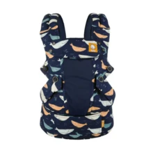 Tula 探索海岸 - 賞鯨