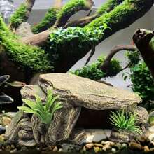 1 Pc Random Color And Style Reptile Aquarium Decor Resin Crafted Fake Basking Turtle Platform
