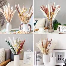 SHIXIONG 100pcs Natural Dried Pampas Grass Bunch,Bohemian Style Dried Reed Eucalyptus,Natural Dried Wheat Spikes Craft Bouquet For Floral Arrangements,Home And Wedding Decoration - 米色 - 查看 5