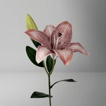 人造百合，19.7 英寸（2 头）人造花，有多种颜色可选，手工制作的花瓣，配有柔软的布料和塑料树枝，适合 DIY 插花，电影假花装饰，情人节装饰花，复古百合丝花人造花，家居装饰客厅卧室餐厅装饰 - 彩色 - 查看 10