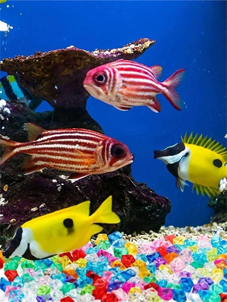 1000 件透明彩色水晶石适用于水族馆装饰、假冰块 DIY 摄影道具 - 彩色 - 查看 1