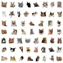 100 件可爱猫咪贴纸搞笑猫咪表情包涂鸦美学装饰乙烯基防水贴纸适用于水瓶、电脑、笔记本电脑、手机、行李箱、笔记本、贴纸表情包、防水贴纸、贴纸 100 件、猫咪用品、笔记本贴纸、猫咪贴纸、搞笑贴纸、贴纸书、贴纸、猫咪贴纸、猫咪、贴纸、猫咪贴纸、猫咪、贴纸、猫咪贴纸、猫咪
