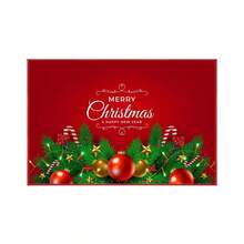 Weihnachtliche dekorative Fußmatte für Eingangsbereich, Wohnzimmer, Sofa, Couchtisch, Badezimmer, hochflorigem Plüsch, leicht zu reinigen, geeignet für großflächige Heimdekoration, Badezimmerteppich, Outdoor-Matte, Herbstdekoration, Badezimmerzubehör, Eingangsbereichsdekoration