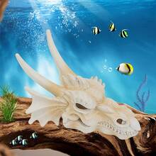 1PC Đồ trang trí bằng nhựa đầu lâu rồng cho bể cá, Đồ trang trí hang đầu lâu rồng, Lỗ ẩn cá nhỏ trong bể cá, Ngôi nhà ẩn, Đầu lâu khủng long bằng nhựa sáng tạo - Lạc đà - Xem 3