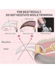 1/2pcs Pet Nail Clippers With LED Light, Built-In Battery, Nail Trimmer For Cats/Dogs, Nail Grinder, Nail File, Magnifier, Safety Pet Grooming Tool Set