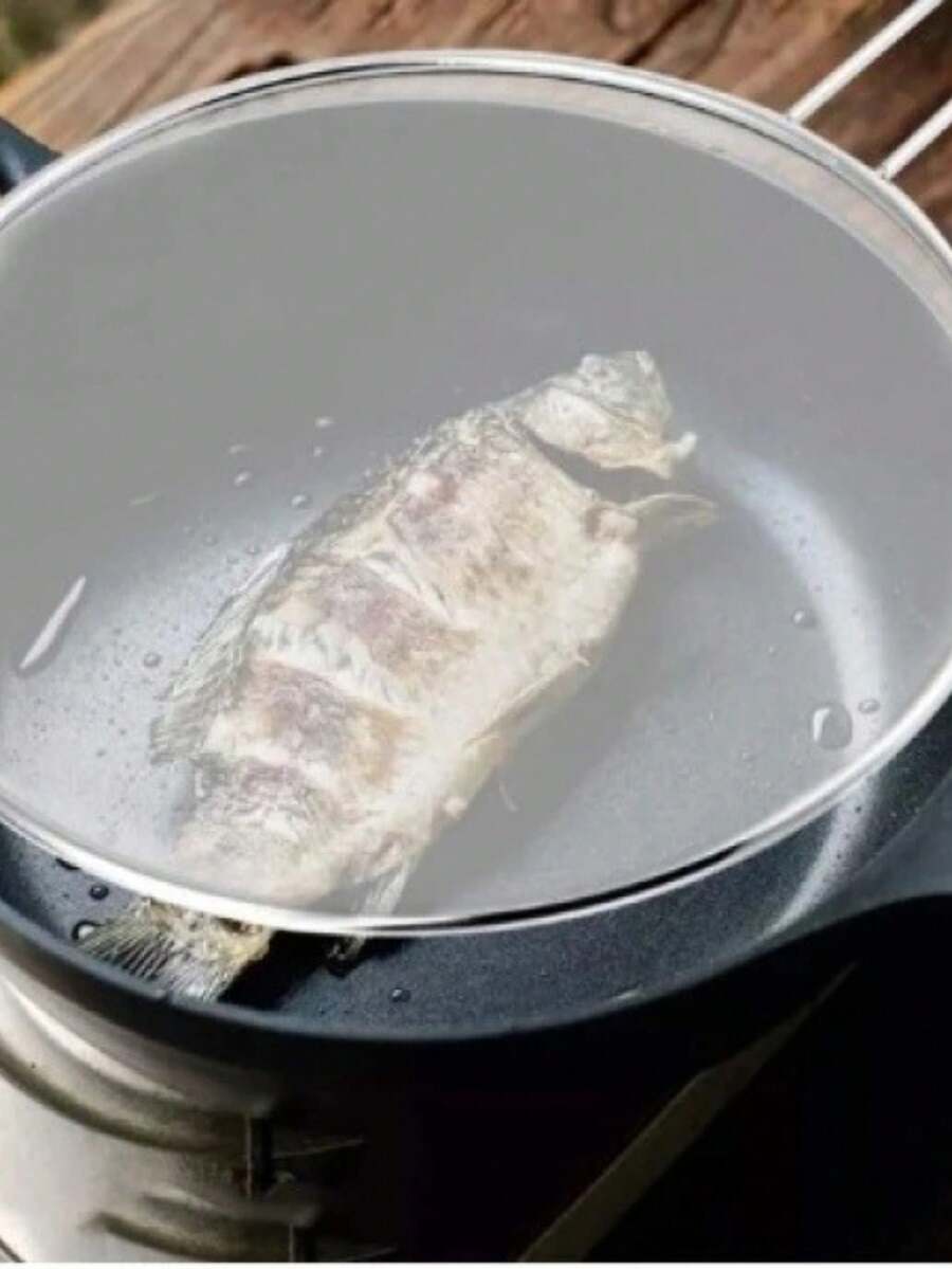 Protective Metal Screen Lid For Frying Anti-Splash Stainless Steel Frying Pan - 33 - Xem 1