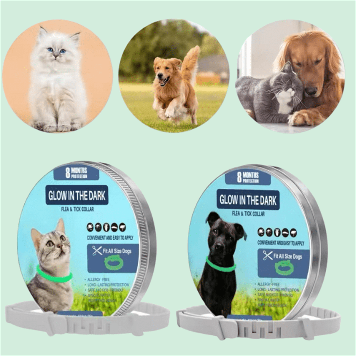Flea And Tick Collar Luminous Up To 8 Months Protection Pet Flea Collar