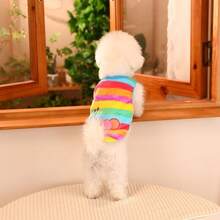 1 件彩虹色狗狗运动衫，弹力休闲套头衫款式，适合中小型犬和猫，可爱的宠物运动衫，适合秋冬季狗狗保暖衣服，让您的小狗舒适时尚 - 彩色 - 查看 6