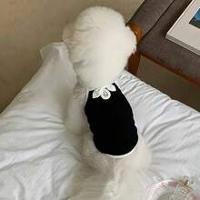 1 chiếc / Áo vest mùa hè nhẹ cho thú cưng | Áo thun đeo thú cưng màu đen và trắng | Trang phục cho chó thanh lịch tinh tế | Thoải mái cho mọi mùa dành cho giống chó trung bình, nhỏ, mini và đồ chơi | Polyester dệt 100% | Thiết kế áo chui đầu dễ dàng - Nhiều màu - Xem 11