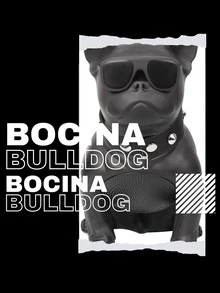 Bocina Bluetooth y radio FM, bocina portátil, bocina con diseño bulldog Mini CH-M12 - Multicolor - Ver 3