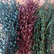 1. Eukalyptusblätter, natürliche getrocknete Blumenstiele, 100/200g echte Eukalyptuszweige für den Duschgebrauch, 2. 43cm konservierte frische Eukalyptusblätter, getrocknete Eukalyptuszweige, für Dekoration, Hochzeit, Heimdekoration, Rattanmaterial, Fotografie-Requisiten