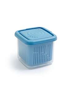 1 件加厚透明保鲜盒，冰箱水果蔬菜沥水保鲜盒，姜蒜葱食品储存容器，厨房配件 - 彩色 - 查看 13