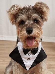 1pc Pet Wedding Bow Tie Bib With Leash Clip, Suitable For Cats And Medium To Large Dogs - Black and White - View 1