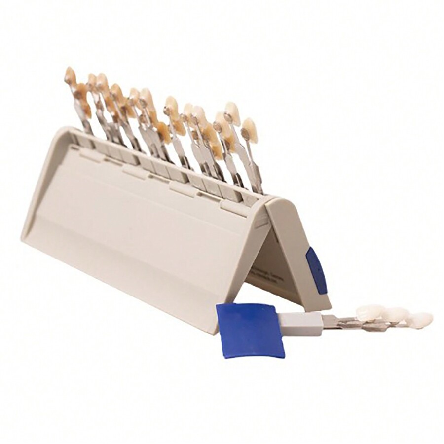 Teeth Whitening Shade Guide 29 Colors Comparison Individually Removable