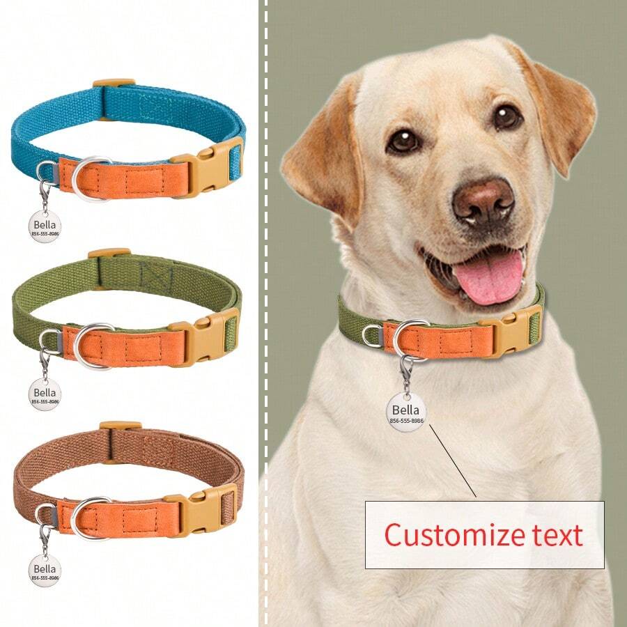 耐用软皮狗项圈，耐用重型狗项圈，带快速释放金属扣，可调节皮革狗项圈，适合小型犬 - 綠色 - 查看 1