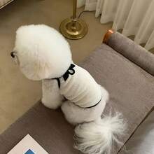 1 chiếc / Áo vest mùa hè nhẹ cho thú cưng | Áo thun đeo thú cưng màu đen và trắng | Trang phục cho chó thanh lịch tinh tế | Thoải mái cho mọi mùa dành cho giống chó trung bình, nhỏ, mini và đồ chơi | Polyester dệt 100% | Thiết kế áo chui đầu dễ dàng - Nhiều màu - Xem 15