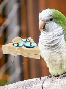 1pc Hanging Bird Cage Small Pet Foraging Station, Developing Intelligence Bird Standing Chew Toy, Suitable For Various Bird Cage Decoration & Toys - Multicolor - View 6