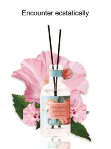 100ml 花果香薰无火香薰家庭卧室空气清新藤条扩散器，房间装饰 - 多味 - 查看 1