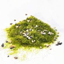 30G Model Scene Static Grass Cluster Powder Stone And Leaves Materials Diy Landscape Building Sand Table Layout Garden Decorate - As Photo - View 10