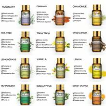 PHATOIL Premium Essential Oils Set 12pcs 5ml/0.17fl.Oz Essential Oils +Essential Oil Diffused Wood For Diffusers Humidifier Home Aromatherapy-Lavender, Eucalyptus, Peppermint, Sandalwood, Lemon, Rose, Bergamot, Tea Tree, Citronella, Geranium, Lemongrass, Clary Sage