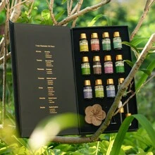 PHATOIL Premium Essential Oils Set 12pcs 5ml/0.17fl.Oz Essential Oils +Essential Oil Diffused Wood For Diffusers Humidifier Home Aromatherapy-Lavender, Eucalyptus, Peppermint, Sandalwood, Lemon, Rose, Bergamot, Tea Tree, Citronella, Geranium, Lemongrass, Clary Sage