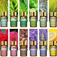 PHATOIL Premium Essential Oils Set 12pcs 5ml/0.17fl.Oz Essential Oils +Essential Oil Diffused Wood For Diffusers Humidifier Home Aromatherapy-Lavender, Eucalyptus, Peppermint, Sandalwood, Lemon, Rose, Bergamot, Tea Tree, Citronella, Geranium, Lemongrass, Clary Sage