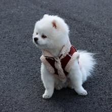 1pc Pet Fur Integrated Padded Coat With Leash, Suitable For Small And Extra Small Dogs/Cats, Warm For Autumn/Winter, Size Runs Small, Not Recommended For Large Dogs