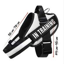 坚固的狗牵引绳和胸背带，适合金毛猎犬、拉布拉多等中大型犬 - 白色 - 查看 2