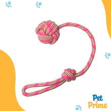 Kit 3 Brinquedo Cachorro Cordas Sortidas para Cachorro Savana Pet - Sortida