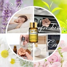 PHATOIL Premium Essential Oils Set 12pcs 5ml/0.17fl.Oz Essential Oils +Essential Oil Diffused Wood For Diffusers Humidifier Home Aromatherapy-Lavender, Eucalyptus, Peppermint, Sandalwood, Lemon, Rose, Bergamot, Tea Tree, Citronella, Geranium, Lemongrass, Clary Sage
