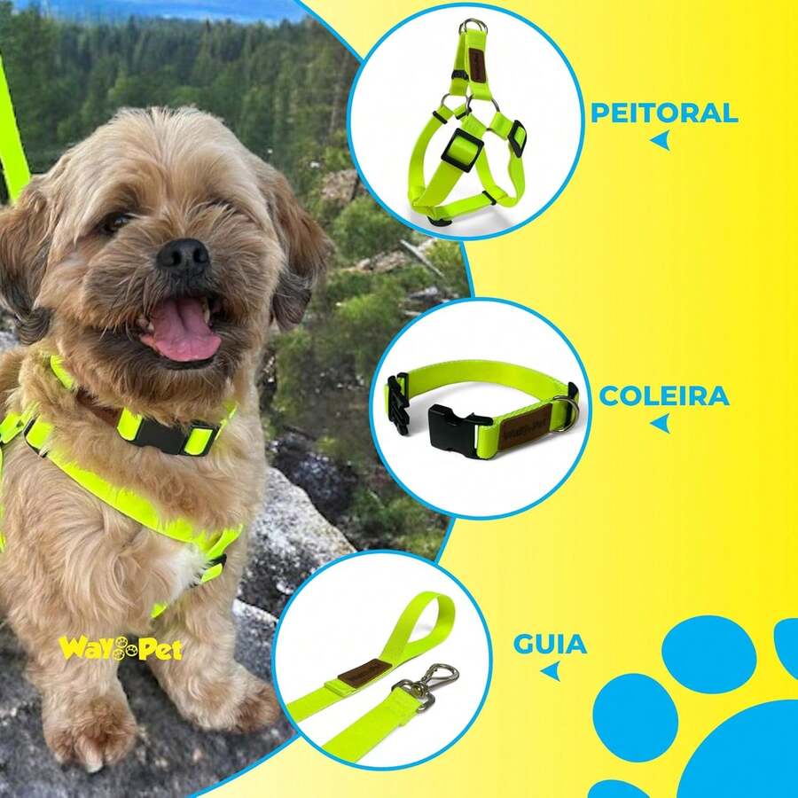 WAY PET Neon Dog Walking Kit, Adjustable With Harness & Collar, Female