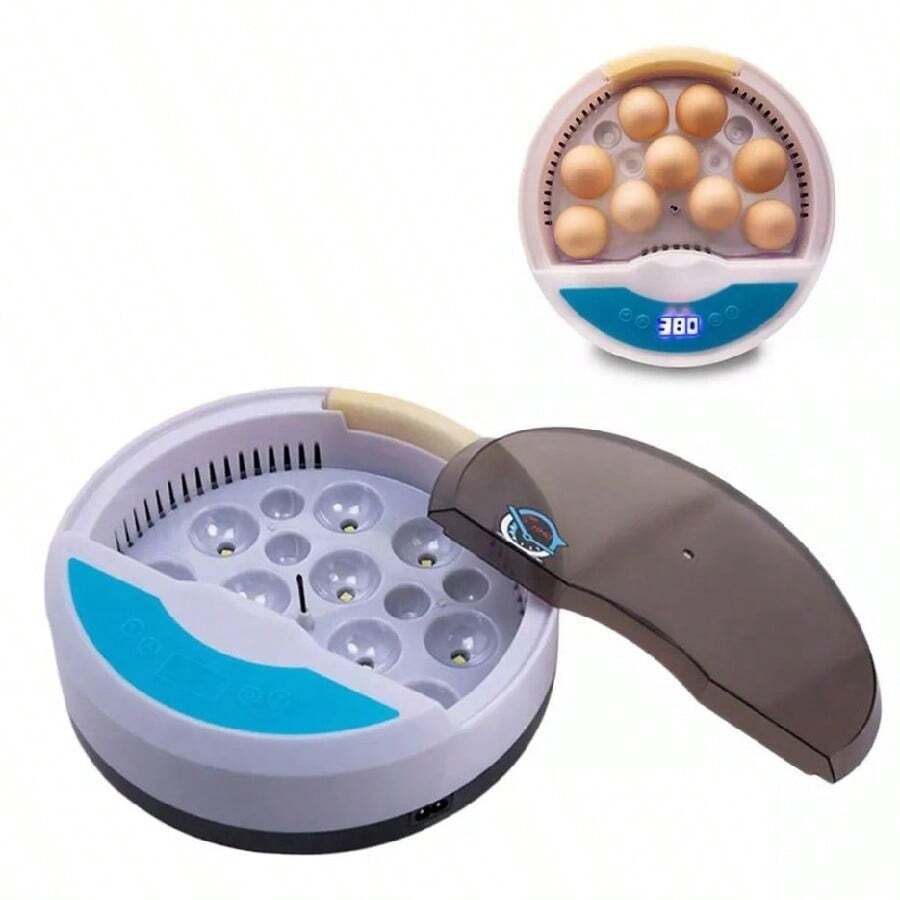 Incubadora Digital Chicken Bird De 9 Huevos - Azul - Ver 1