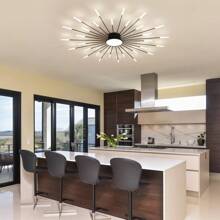 42 Lights Modern Flower-Shaped Ceiling Light , Recessed Metal & Acrylic Firework Petal LED Fixture For Living And Dining Rooms ,Remote Control Included - 黑色 - 查看 6