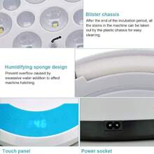 Incubadora Digital Chicken Bird De 9 Huevos - Azul - Ver 7