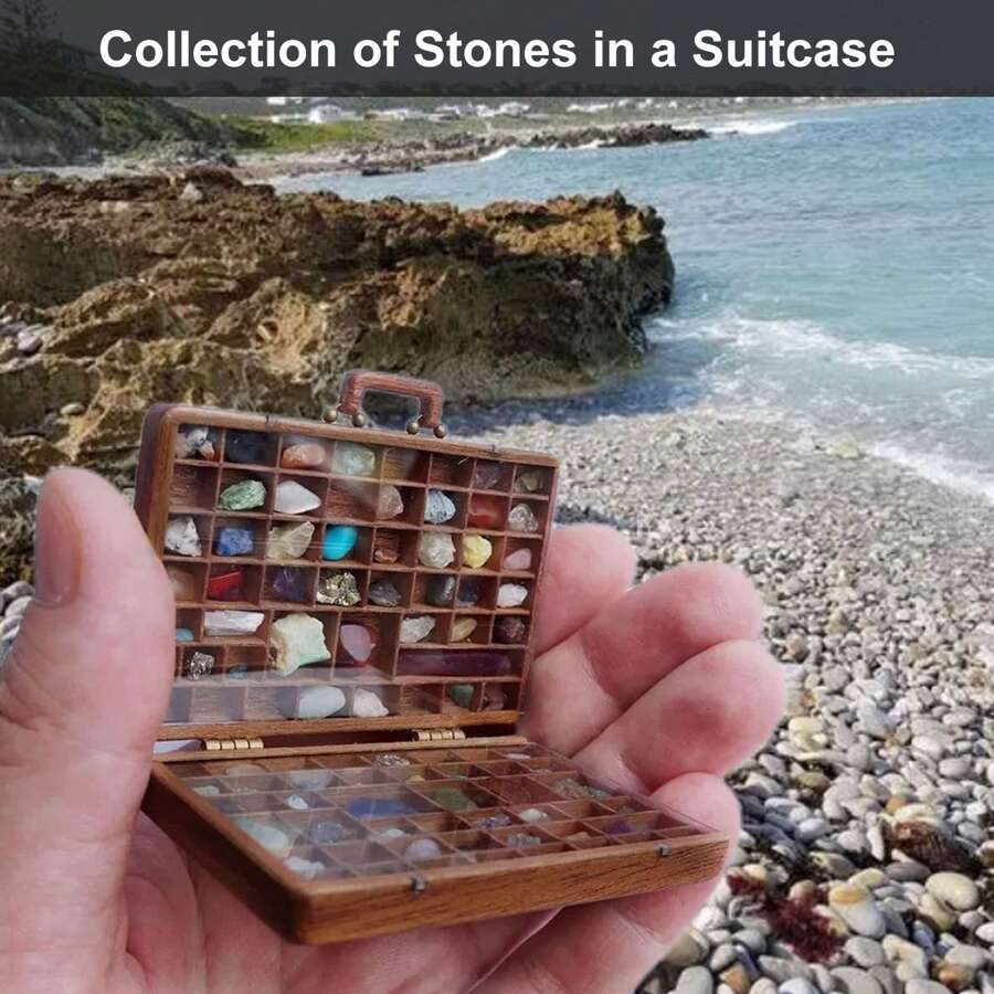 Stone Collection Suitcase Rock Collection Box For Rock And Mineral Kit ...