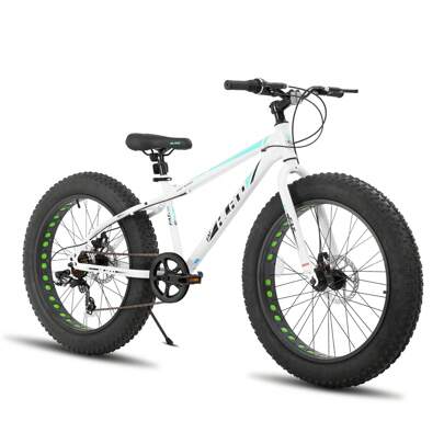 Hiland Roon 20/24/26 Inch Fat Tire Mountain Bike For Teenagers & Adult, 4.0" Fat Tire MTB With Shimano 7-Speed, Dual-Disc Brake, Beach And Snow Bicycle (Green, Blue, White & Silver)