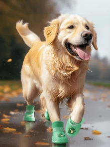 4pcs/Set Yellow Cartoon Dog Silicone Rain Boots, Waterproof Outdoor Shoes For Golden Retriever, Labrador And Other Small/Medium Pet Dogs