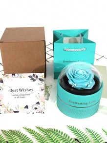 情人节永生玫瑰首饰礼盒（1个），圆形单支玫瑰项链首饰盒，情侣惊喜吊坠盒，含贺卡，浪漫情人节、生日、求婚、婚礼装饰、返校季礼物 - 彩色 - 查看 10