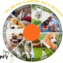 Jouets amusants pour animaux de compagnie, grands ragoûts, petits chiens. Jouets d'auto-divertissement, soulagement de l'ennui, nettoyage des dents