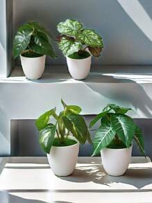 1 cái/bộ cây xanh nhân tạo bằng nhựa, cây mọng nước giả mini trang trí để bàn cho văn phòng, phòng khách - Nhiều màu - Xem 1