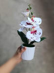 Artificial Butterfly Orchid Potted Plant With White Porcelain Vase, Home Decoration Ornament,Christmas