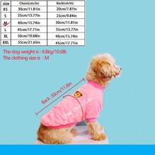 Bear Embroidery Pet Dog Vest Winter Warm Dog Clothes For Small Dogs Plush Puppy Cat Coat Yorkies Chihuahua Shih Tzu Pug Outfits