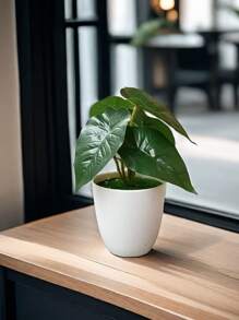 1 cái/bộ cây xanh nhân tạo bằng nhựa, cây mọng nước giả mini trang trí để bàn cho văn phòng, phòng khách - Nhiều màu - Xem 12