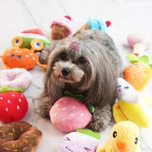 Jouets amusants pour animaux de compagnie, grands ragoûts, petits chiens. Jouets d'auto-divertissement, soulagement de l'ennui, nettoyage des dents