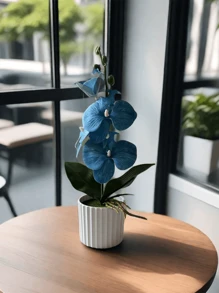 人造蝴蝶兰盆栽配白色陶瓷花瓶、家居装饰品、圣诞节 - 藍色 - 查看 6