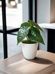 1 cái/bộ cây xanh nhân tạo bằng nhựa, cây mọng nước giả mini trang trí để bàn cho văn phòng, phòng khách - Nhiều màu - Xem 16