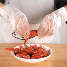 10pcs/50/100/200pcs Disposable TPE Gloves, High Elasticity And Toughness, Kitchen Hygiene Protective Work Gloves, Waterproof, Oil Resistant, And Can Come Into Contact With Food - White - View 6