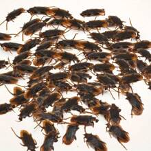 30pcs Funny Fake Cockroach Prank Toys, Scary Gags For Party & Gathering - Black - View 4
