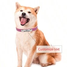 1 件个性化复古红色 PU 皮革宠物项圈，可定制宠物名称和联系信息，防丢失项圈适合小型、中型和大型犬 - 玫紅色 - 查看 1